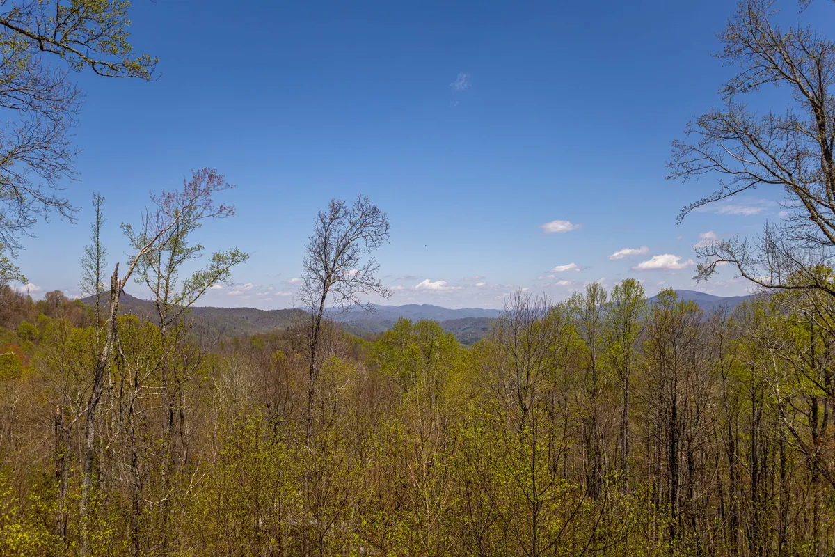 A sweeping view of distant mountains, lush green trees, and a clear blue sky. This landscape captures the natural beauty surrounding the property and hints at the hiking and exploration mentioned in the section. The tranquil mood invites families to connect with the great outdoors.