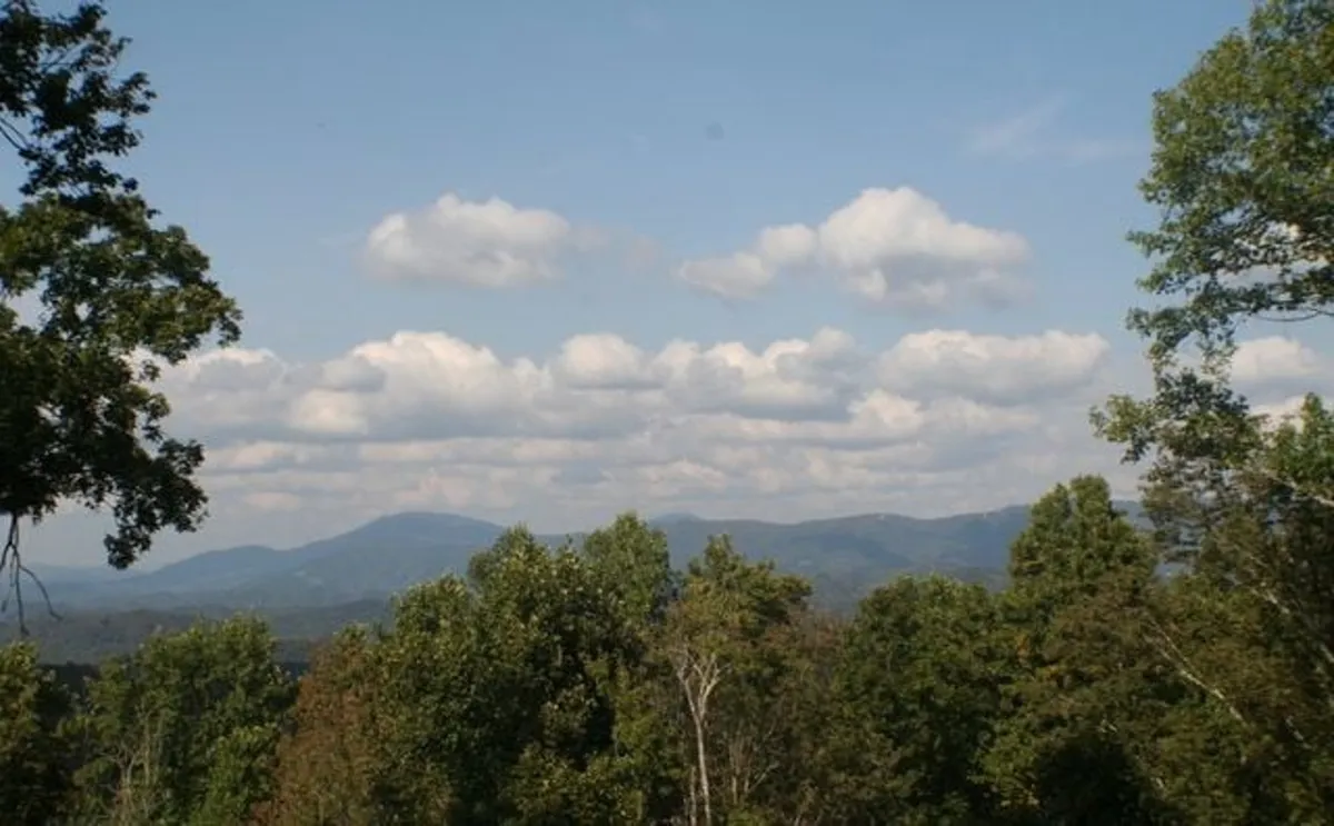 A panoramic view of a mountain range under a cloudy sky, framed by a treeline. The scene speaks to the natural beauty and peacefulness of the surrounding region, offering a sense of the exploration and adventure awaiting just beyond the cabin.
