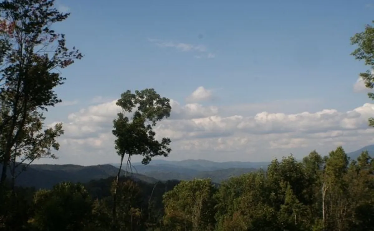 A stunning sunrise view over a mountain range, with clouds and trees in the distance. The landscape evokes tranquility and a sense of grandeur, inviting moments of wildlife watching, contemplation, or photography.